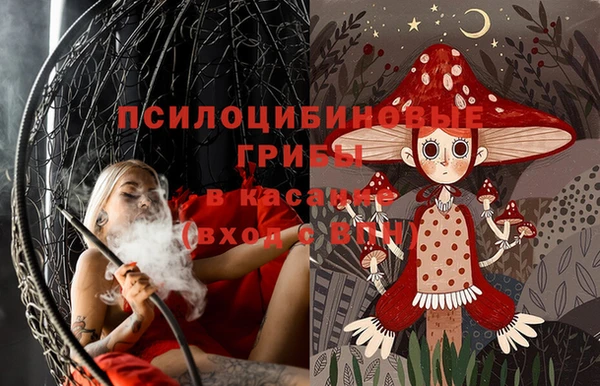 гидропоника Абаза