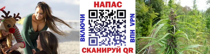 сколько стоит  Палласовка  Бошки марихуана конопля 